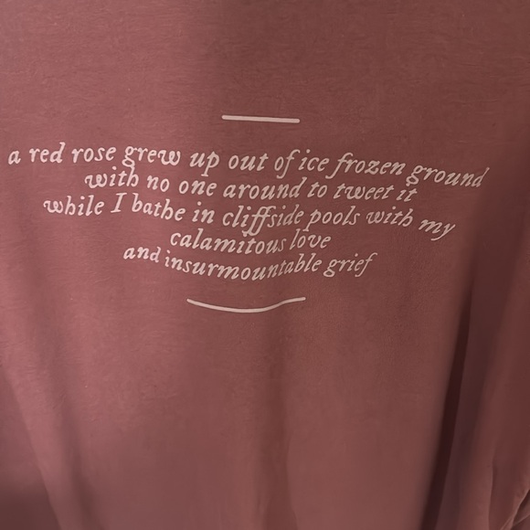 Taylor Swift official Merch the lakes t-shirt folklore - Picture 3 of 6